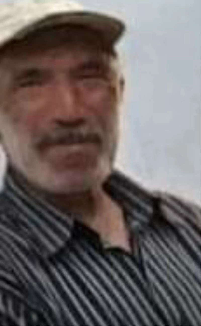 Dananın saldırısına uğrayan çiftçi hayatını kaybetti
