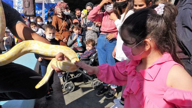Piton yılanı ile korkularını yenmeye çalıştılar
