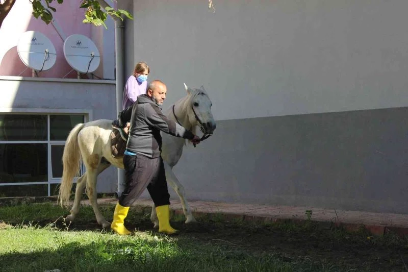 Selin yaşandığı Türkeli’de öğrencilere etnospor motivasyonu
