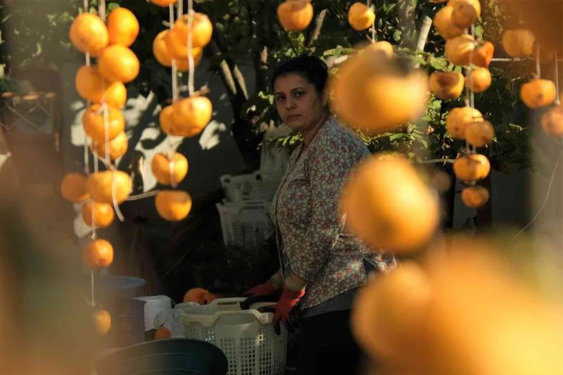 Pandemide işsiz kaldılar çareyi Cennet elmasında buldular
