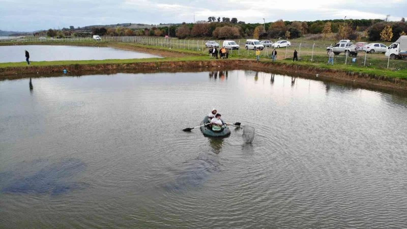 Çökertme havuzunda mahsur kalan anaç balıklar kurtarıldı
