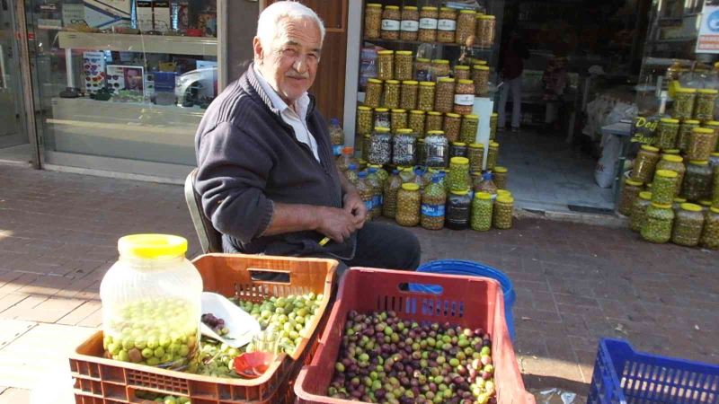 Burhaniye’de yeşil zeytin alımına başlandı, üretici fiyatlardan memnun
