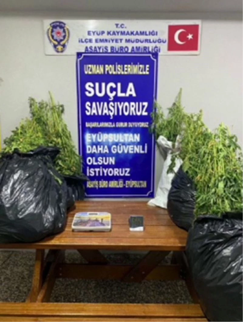 İstanbul’da 22 kilo marihuana ele geçirildi
