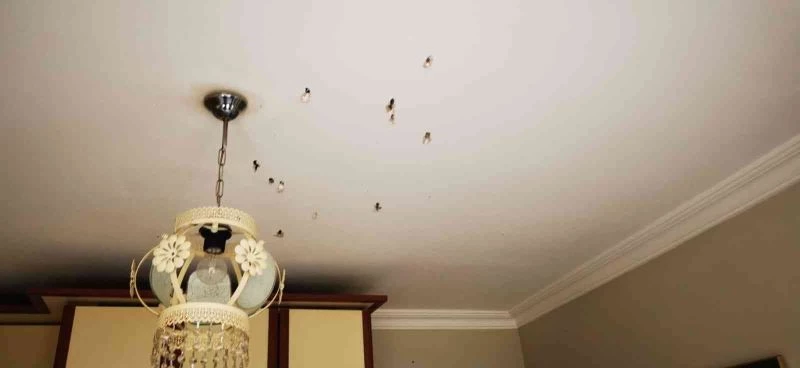 Eve kurşun yağdırıp kaçtı
