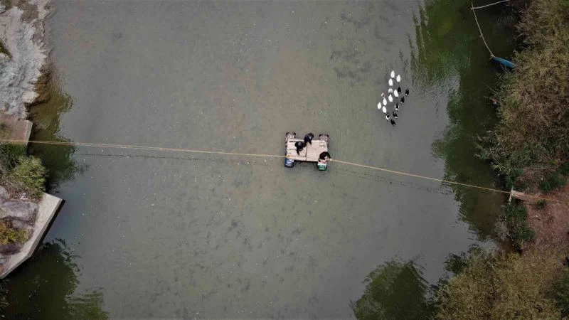 (Özel) Şehirden şehre salla yolculuk
