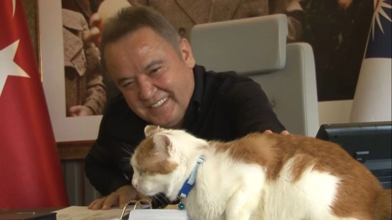 58’inci Antalya Altın Portakal Film Festivalinin akrediteli maskotu ’Toros’
