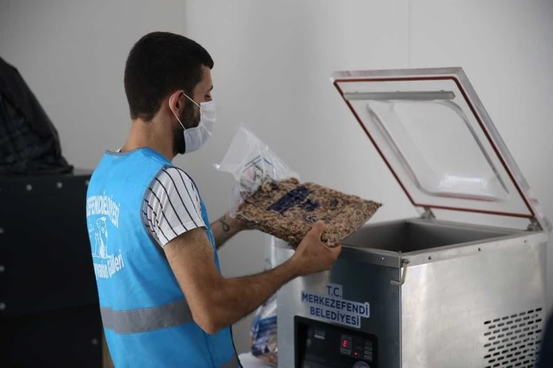 Hastanede arta kalan yemekler can dostlarına mama oluyor
