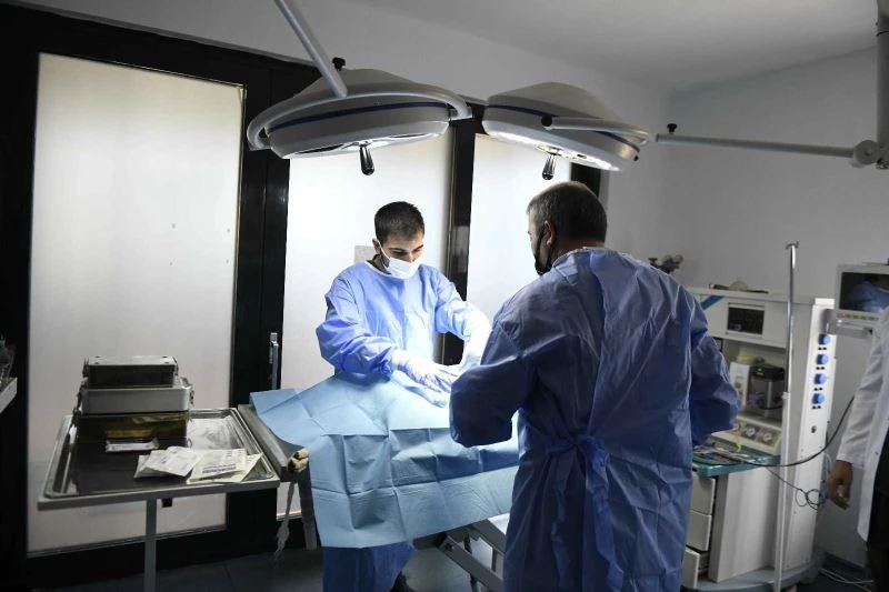 Ankara Büyükşehir belediyesi sokak hayvanları için özel hastanelerle el ele
