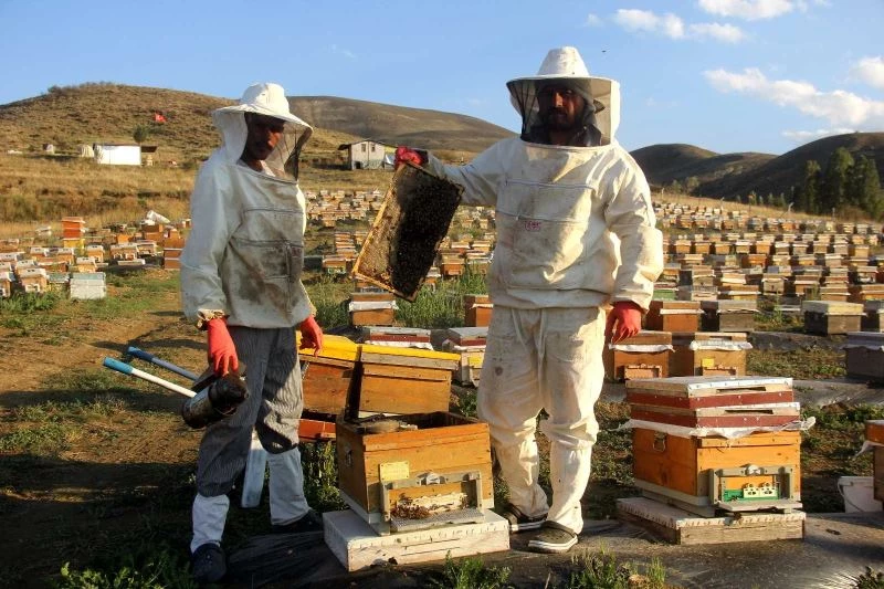 Kuraklık bu sene balın tadını kaçırdı

