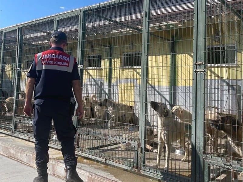 Jandarmadan hayvan bakımevlerine ziyaret
