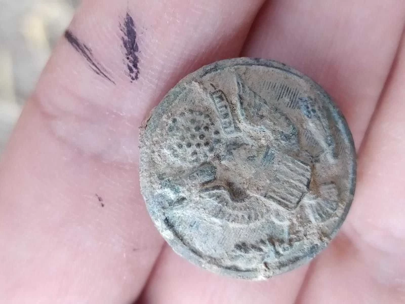 Zerzevan Kalesinde bulundu, nasıl geldiği merak konusu oldu
