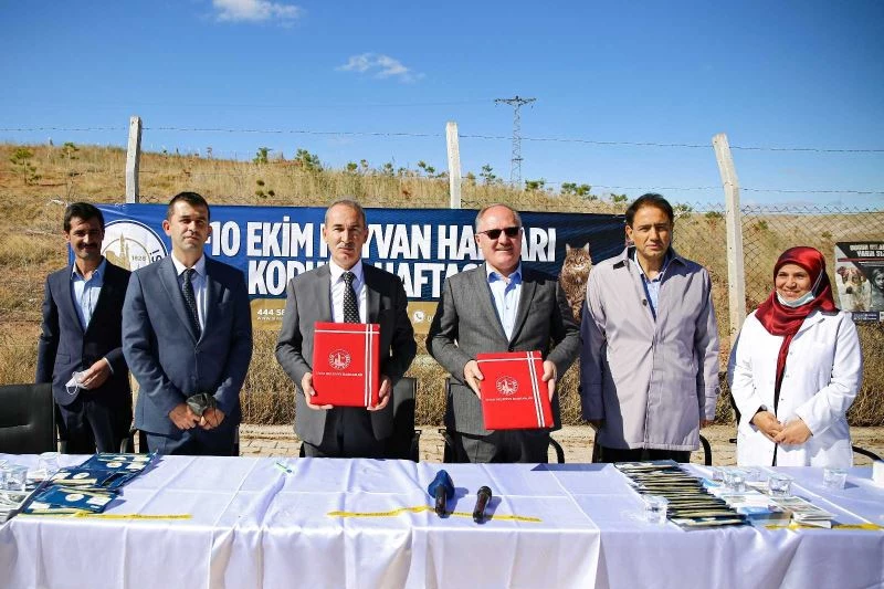 Sahiplenilen hayvanlar için Belediye - Üniversite iş birliği
