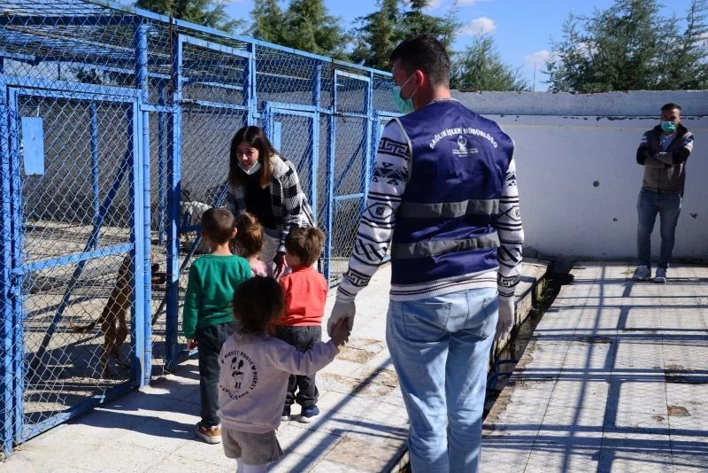 Minik öğrenciler patili dostları unutmadı
