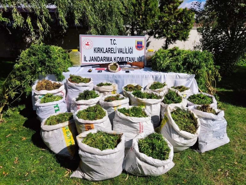 Uyuşturucuya sera süsü: Torba torba uyuşturucu ele geçirildi
