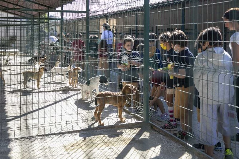 Minik öğrenciler hayvan bakımevini ziyaret etti
