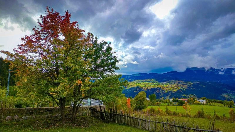 Sonbaharın gelişi ile sakin şehir Şavşat’ta renk cümbüşü başladı
