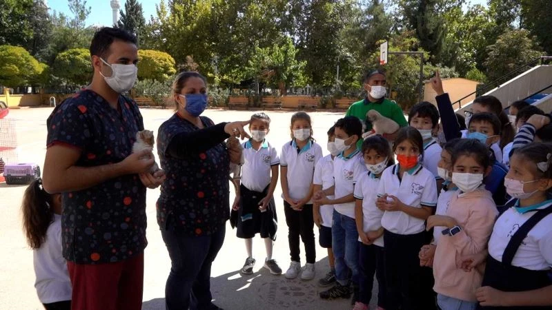 Gaziantep Büyükşehir, miniklere hayvan sevgisi aşılamak için düğmeye bastı
