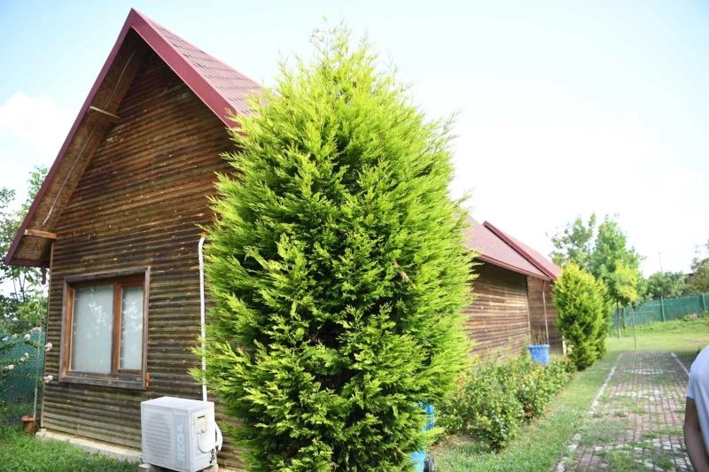 Ketenciler Gençlik Kampı yenileniyor
