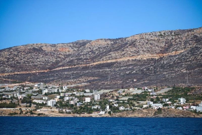 Yangında zarar gören ormanlar için 