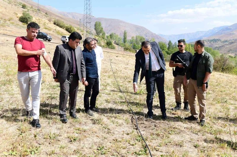 Çatak’ta kapama ceviz bahçeleri kuruluyor
