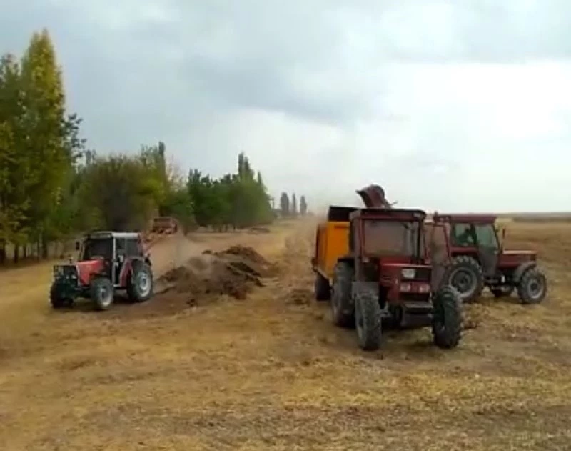 Zamlar çiftçiyi hayvan gübresine yöneltti
