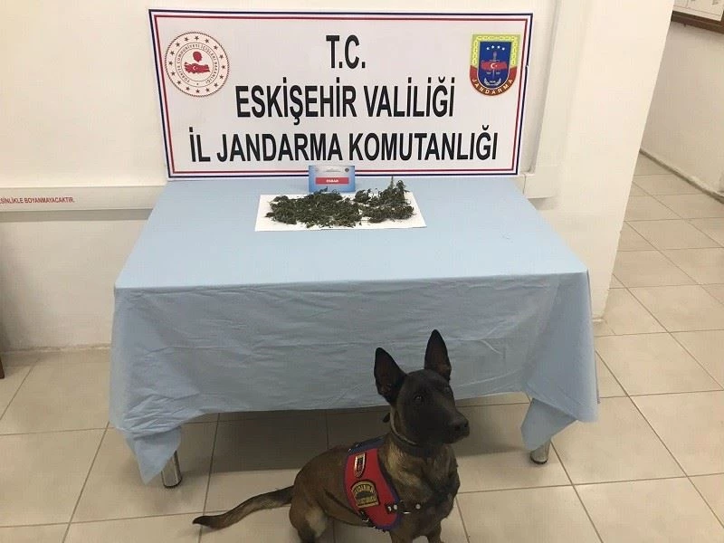 Eve saklanan uyuşturucu maddeleri jandarma narkotik köpeği Alfa buldu
