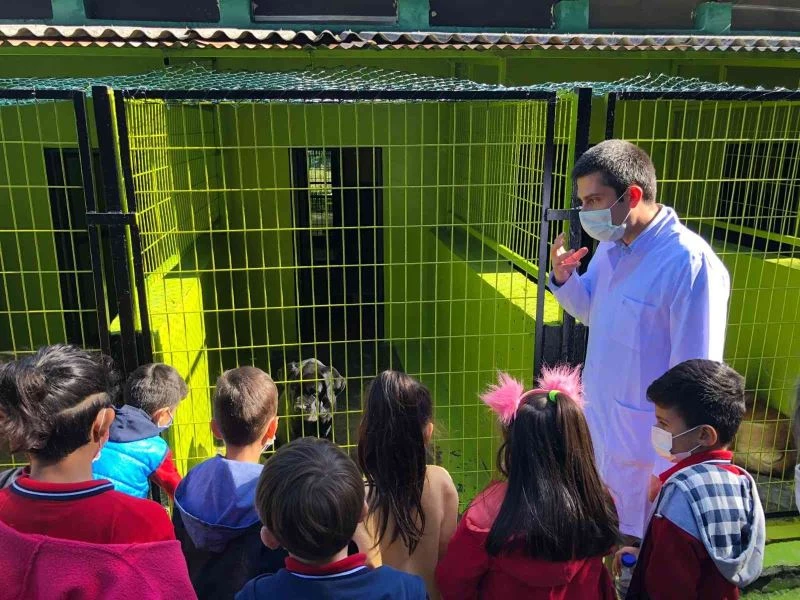 Hayvan barınağının kapıları miniklere açıldı