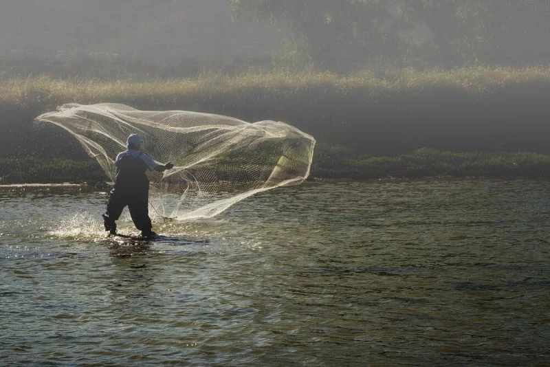 Alaçatı Sulak Alanına dikkat çekmek için yapılan fotoğraf yarışması sonuçlandı
