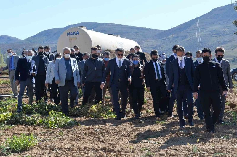 Meşhur İspir fasulyesinde hasat zamanı