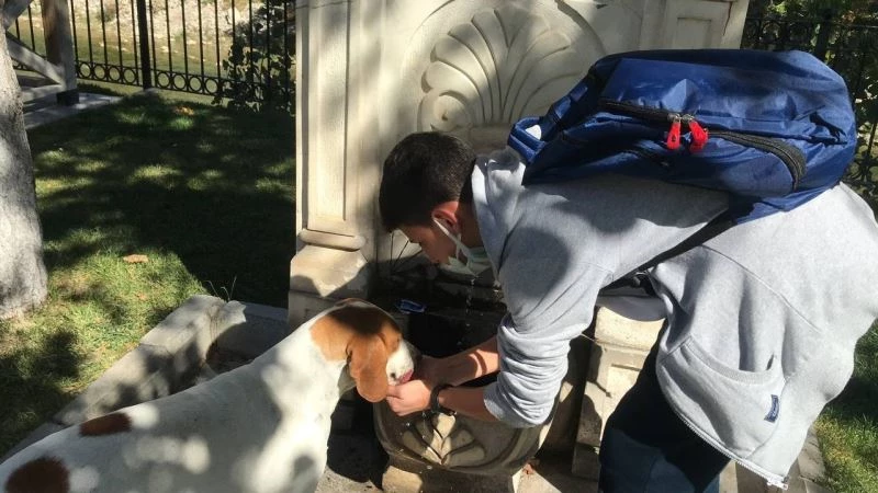 (Özel) Vefalı köpek, kendisine su içiren öğrenciyi okuluna kadar takip etti
