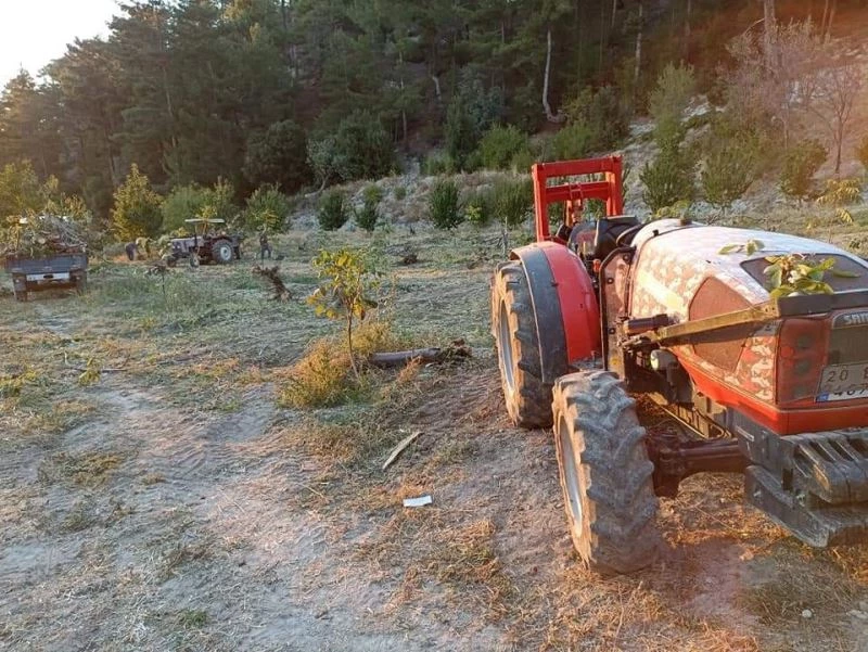 Yalancı bahara aldanan kiraz ağacı çiçek açtı
