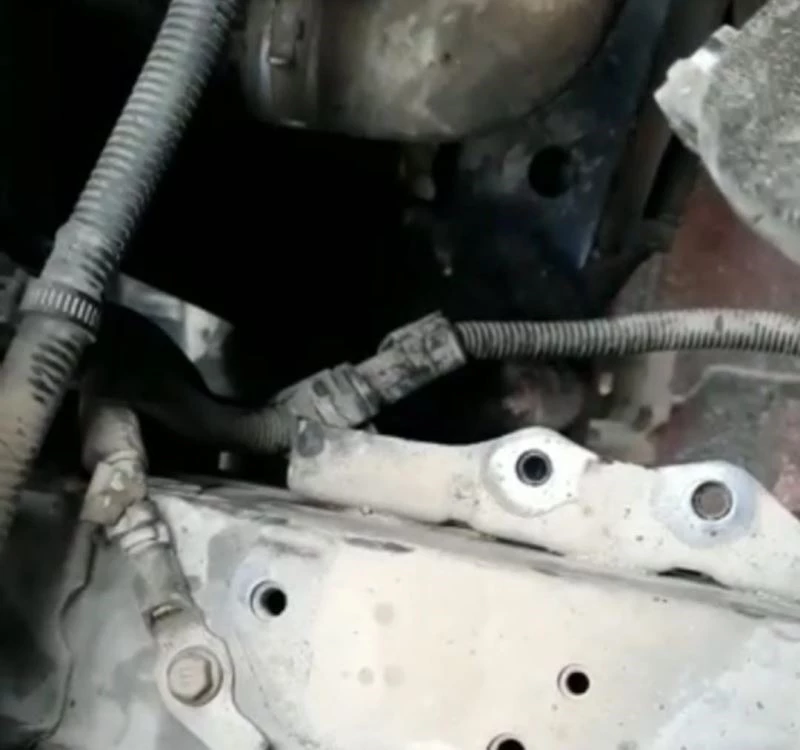 Aracın motoruna sıkışan yavru kedi, 2 saat süren çalışma ile çıkartıldı
