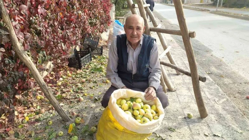 Emet ve Hisarcık’ta Küreci elmasına yoğun ilgi
