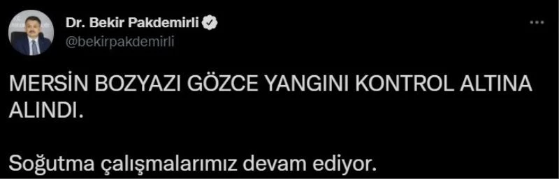 Bakan Pakdemirli, Mersin Bozyazı’daki yangının kontrol altına alındığını bildirdi
