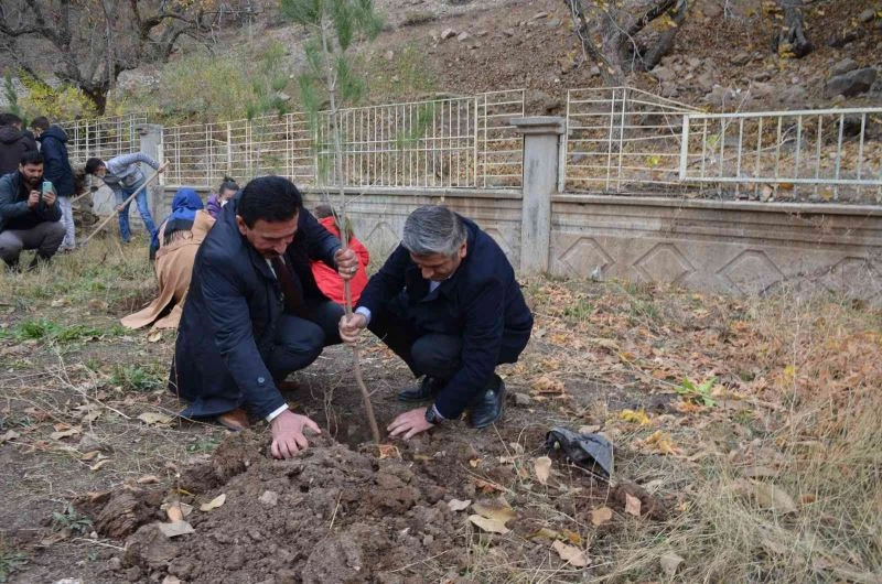 Kato Dağı eteklerindeki okullar yeşilleniyor
