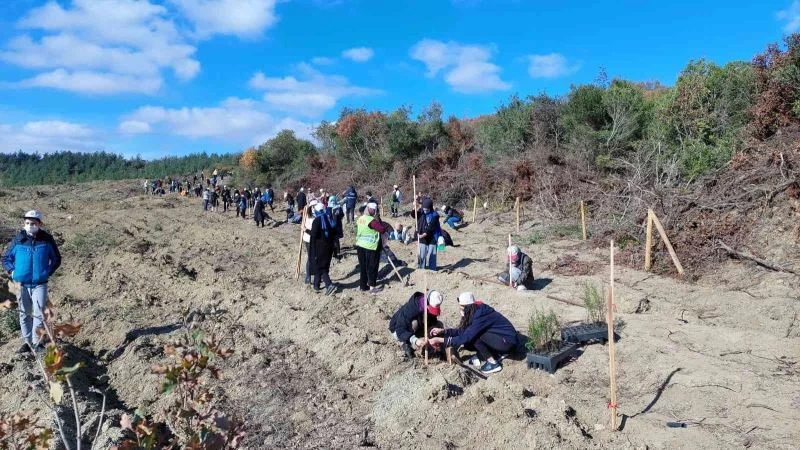 Bu da fidan dikme ordusu
