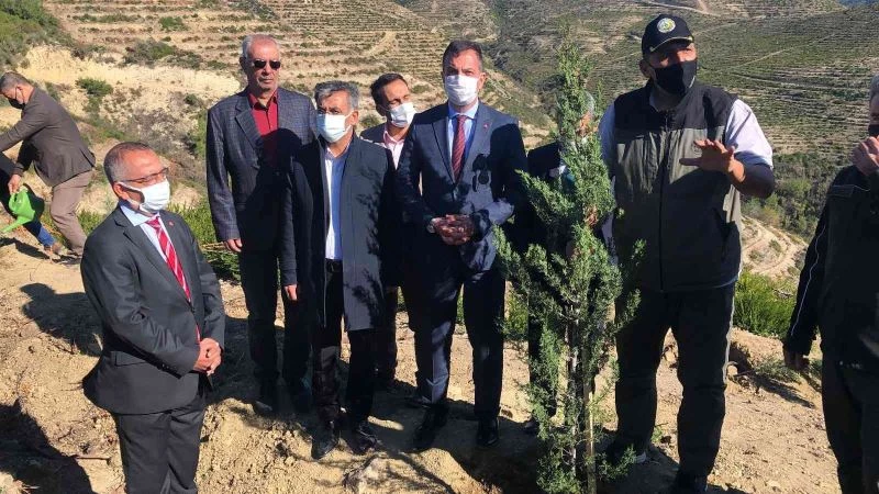 Yanan orman alanları fidanla buluştu
