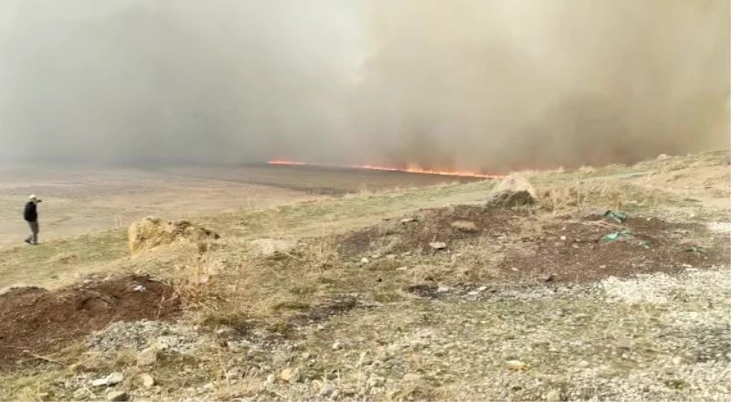Nehil Sazlığı’ndaki yangın 2 gündür devam ediyor
