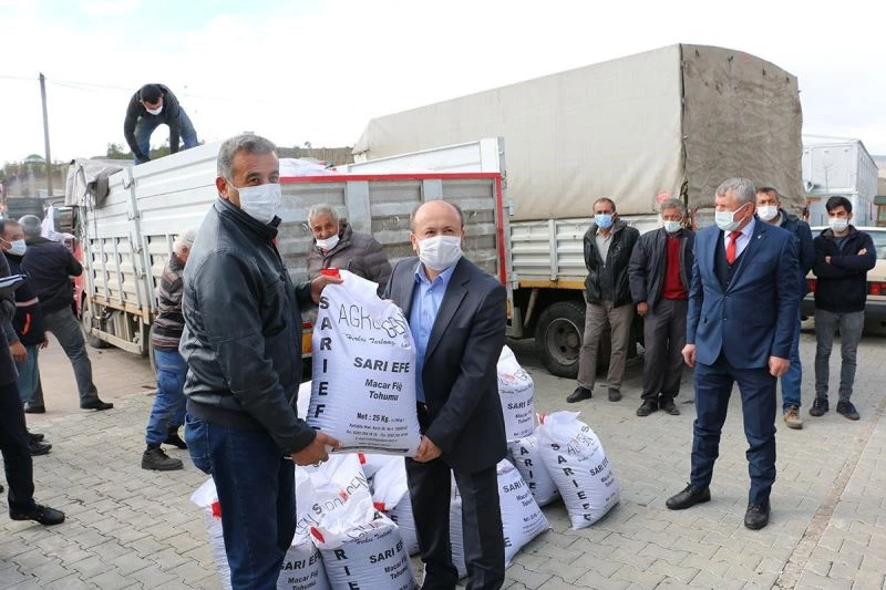 Atıl araziler fiğle yeşeriyor
