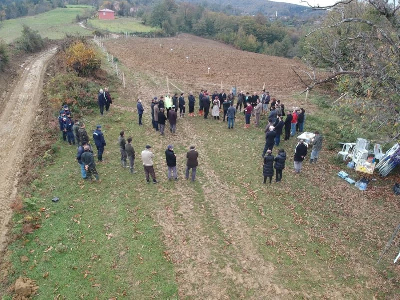 Sinop’ta ‘Milli Ağaçlandırma Günü’nde kestane ormanına ilk fidanlar dikildi
