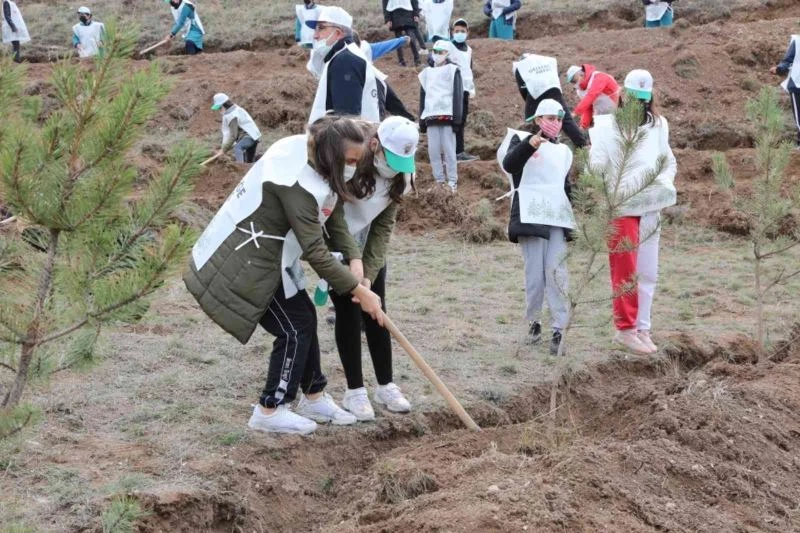Çorum’da 1 milyon 590 bin fidan toprakla buluştu
