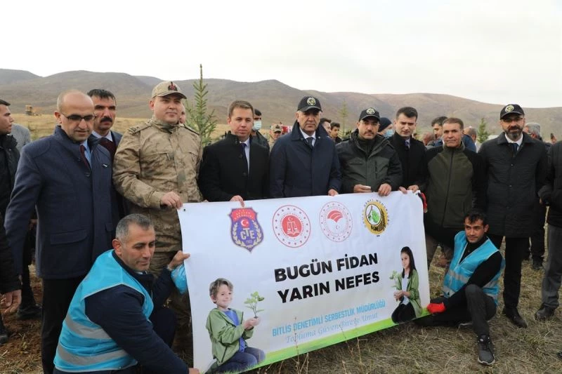 Bitlis’te fidan dikme seferberliği
