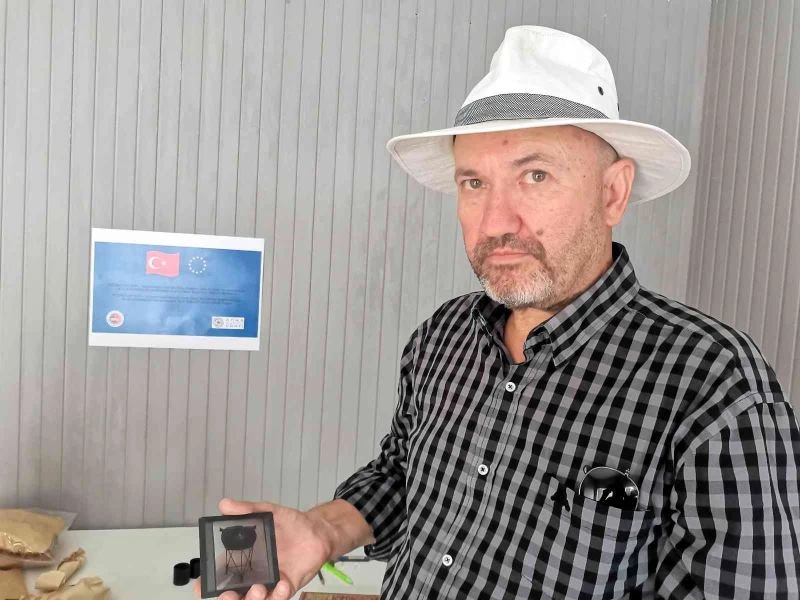 6 bin yıl öncesinden dijitale
