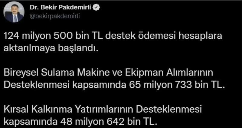 Bakan Pakdemirli: 
