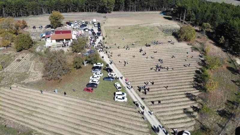 İlçe turizmini hareketlendiren safran tarlalarını 90 bin kişi ziyaret etti
