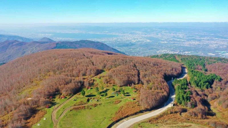 Bir yanda güneş, zirvede kar, ağaçlarda sonbaharın renkleri
