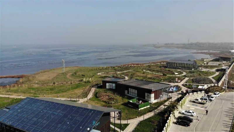 (Özel) 81 vilayette yetişen şifalı bitkileri tek bahçede yetiştirdiler
