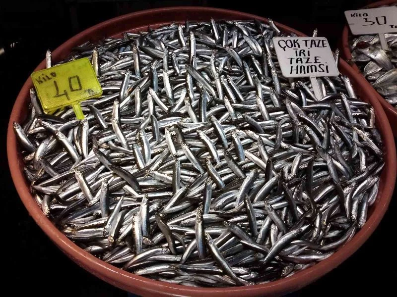 Fırtına sebebiyle balık fiyatları ikiye katlandı
