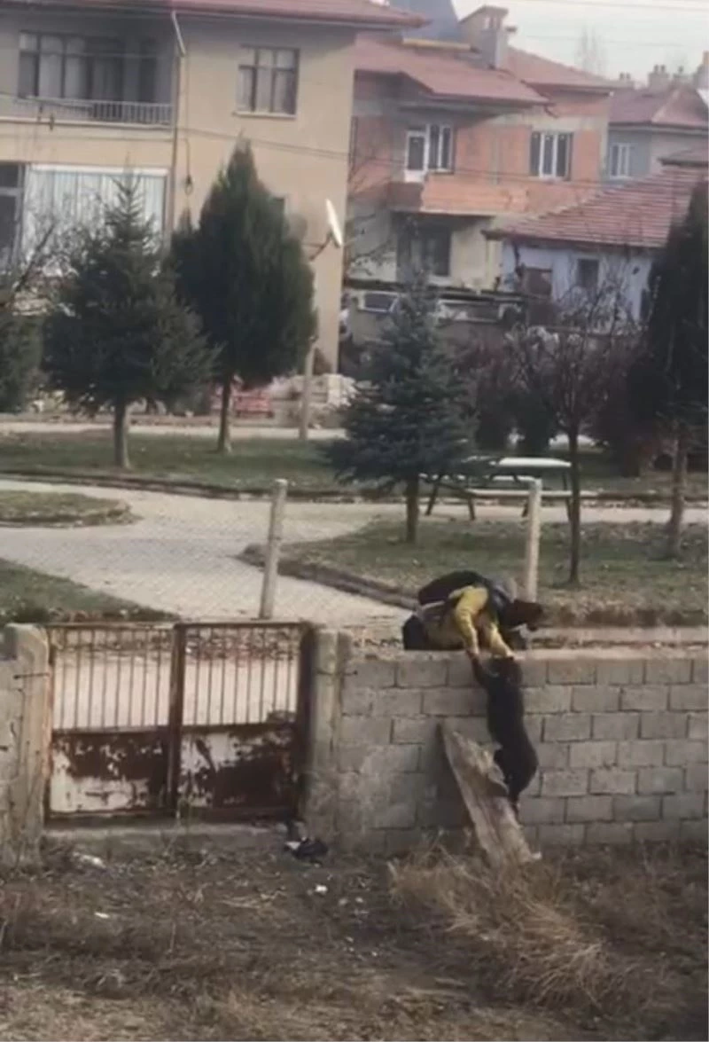 Küçük çocuğun köpek sevgisi görenlerin içini ısıttı
