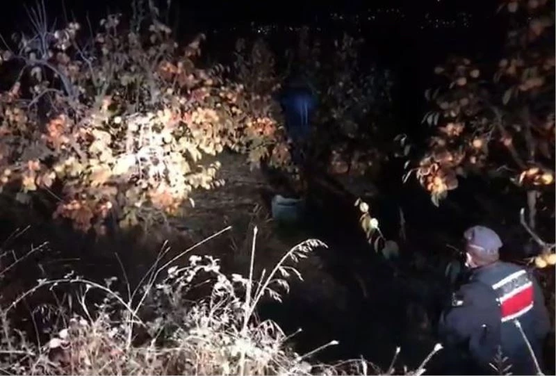 Cennet elması hırsızları ağaç dalında yakalandı
